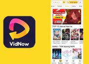 Download VidNow APK Gratis di Android – APK Penghasil Uang Legal, Aman & Terbukti Bayar!